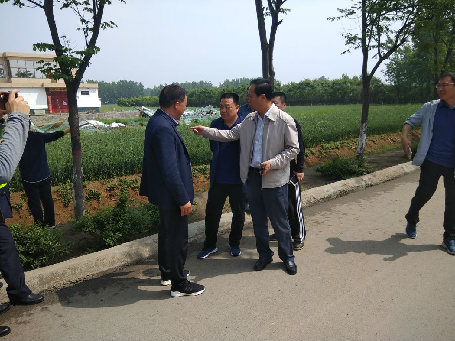 鲁平快速通道鲁山段启动拆迁放线工作