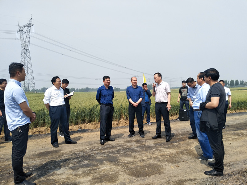 湛河区区长张毅到平叶快速通道施工现场调研-平顶山市交通运输局